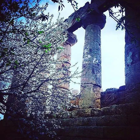 Bed & Breakfast Mielezenzero 3*